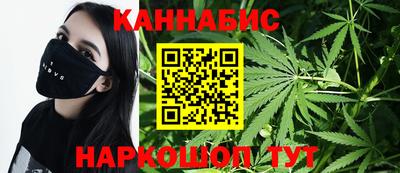 сатива Можга