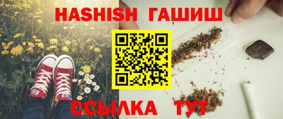 сатива Можга